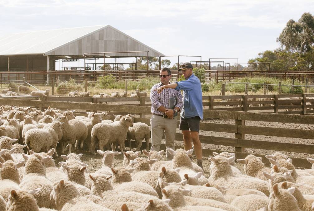 Mondilibi Pastoral Company manager Nathan Hahn (left), Mortlake, hears from Breakthrough Farming Solutions principal Neil Hammond, Woolsthorpe, that the increased number of slaughter lambs sold over the hooks last week to assured market prices.