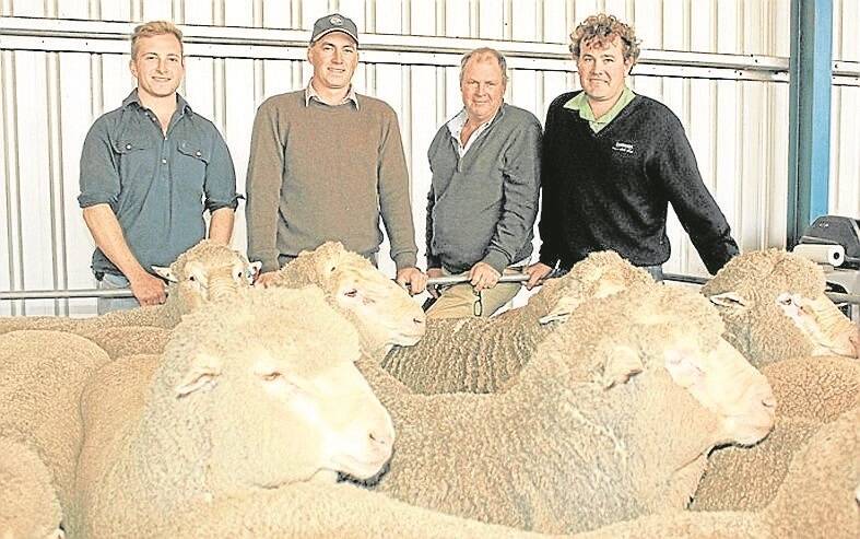 Inspecting a pen of Anglesey sale rams penned as part of the stud’s on-property field day at Gnowangerup, WA, were Will Bowden (left), Anglesey stud, Gnowangerup, Tim Polkinghorne, Banavie stud, Marnoo, Victoria, Roger Polkinghorne, Charinga stud, St Arnaud, Victoria, and Landmark Breeding representative Mitchell Crosby.