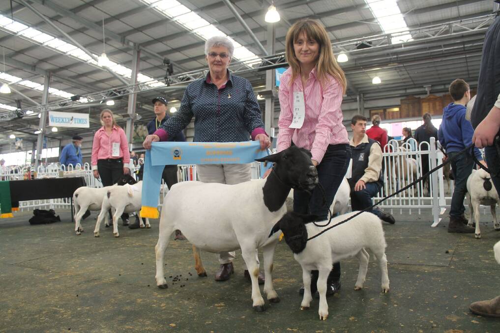 Carolyn Thorburn, Oakview, Toolamba, holding her supreme champion Dorper and lamb, while judge Dianne Huett, Deloraine, Tas, shows off the entry's supreme ribbon.