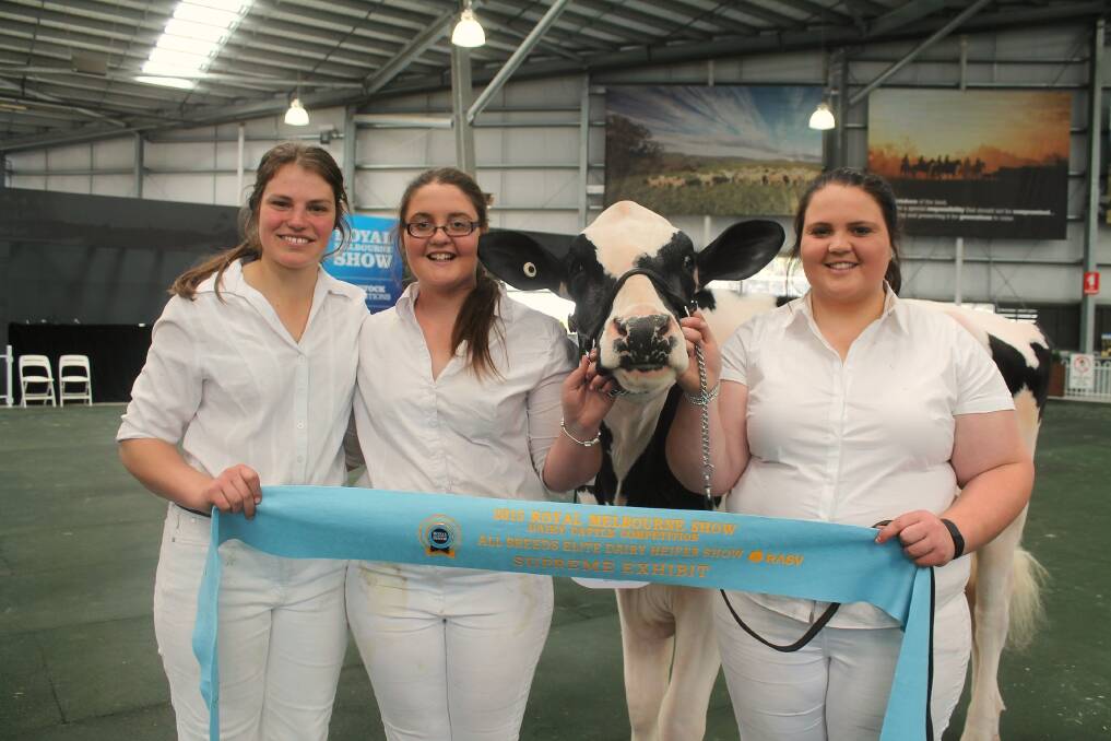 Sisters Renee and Katie Anderson, Yarroweyah, with their supreme champion dairy heifer at the Royal Melbourne Show, and family friend Leah Orton. Together, the trio paraded the senior and supreme champion, the reserve senior champion and honourable mention heifers (all owned by the Andersons).
