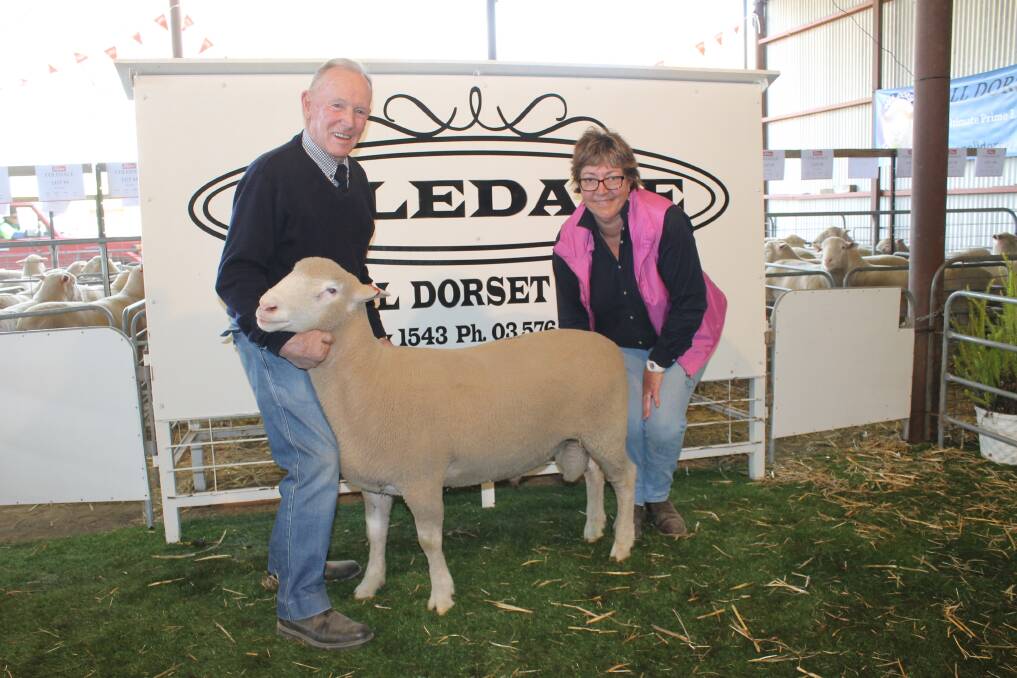 Coldale Poll Dorsets principal, Wallace Binnie, the top priced ram, and buyer Pembroke Pastoral's Kathy Simons.