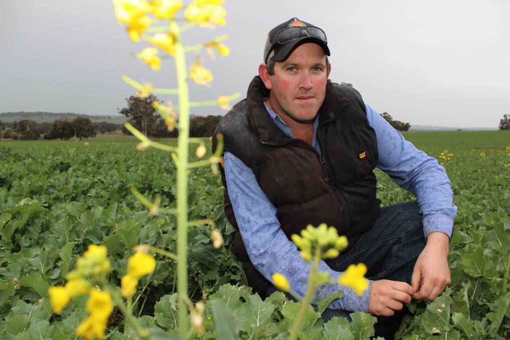 Arthur River grower Sam Burgess is expecting poor yielding crops as the heat being experienced in WA is turning everything brown before grains can fully develop.