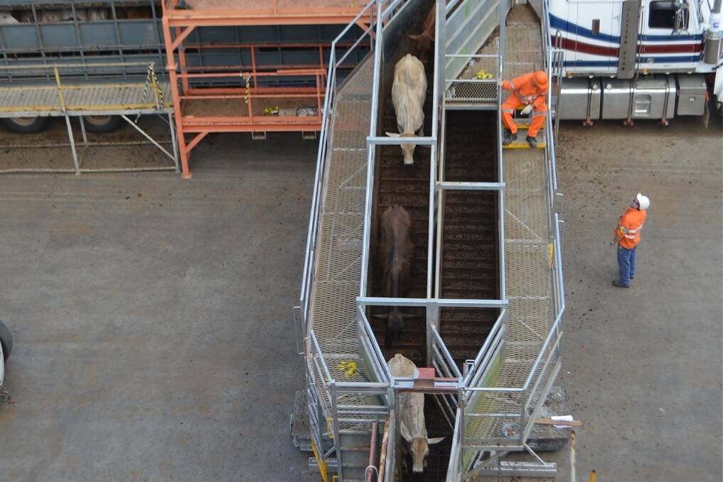 The 2014-2015 trade figures showed that Australian live cattle exports reached 1.38 million head, up 22 per cent.