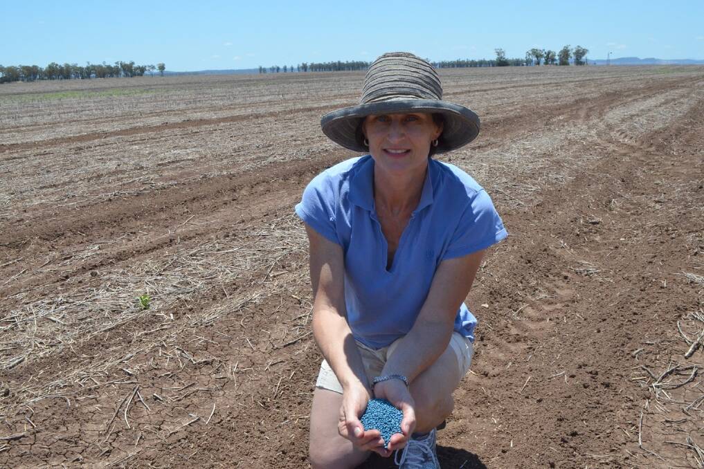  Alice Brady and her husband Bart have planted 200 hectares of sorghum at "Killarney", Mullaley.