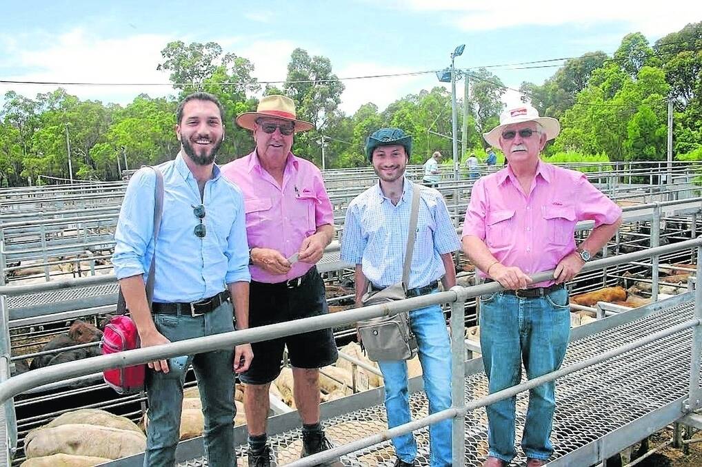 Operating on behalf of the Sheik of Qatar, Victor Nahas (left) and Youseff Hiariri with Terry Tarbotton, Elders Nannup and Elders commercial livestock manager Tom Marron, purchased several pens of heifers at last Friday s Elders Boyanup weaner sale.