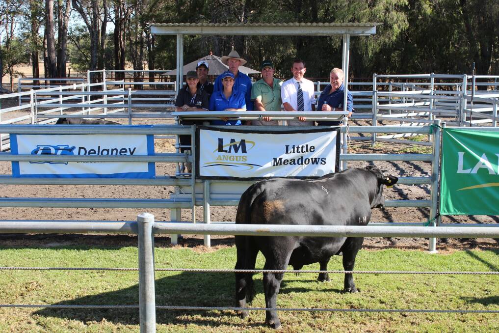 With the $14,000 top-priced sire, Little Meadows King Kong K47, at last week's Little Meadows on-property Angus bull sale at Dardanup were Little Meadows stud co-principal Karen Golding (left), Mostyn Golding, Delaney Livestock Services principals Joanne and Daniel Delaney, Landmark Boyup Brook agent Jamie Abbs, Glasser Total Sales Management auctioneer Miles Pfitzner and buyer Wally Holland.