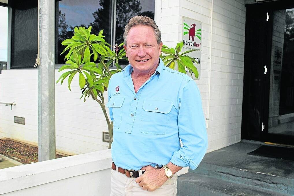 p Minderoo Group managing director Andrew Forrest says Harvey Beef will expand into pre-packed beef and lamb cuts ready for retail display.