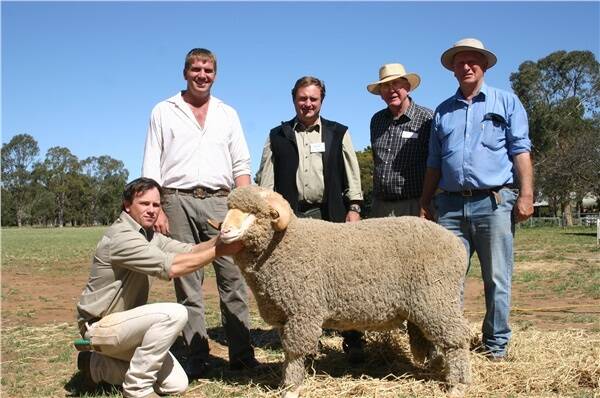 Pooginook manager Jock Campbell, and regional manager for Paraway Pastoral Company John Sutherland (middle), with buyers Steve Lindsay (second from left) and father Rob Lindsay, Cora Lynn Merino stud, Peak Hill, NSW, with their classer Allan Clarke, Dubbo, with the top priced ram which made $10,000.