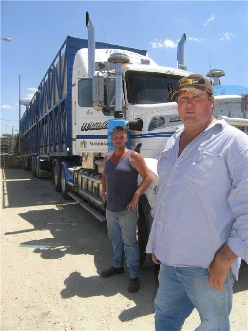 Rob Whiteley, Corryong (right), pictured at the Wodonga saleyards with driver Jamie Spilsbury of Corryong who is new livestock transporting after spending many years driving tippers and logging.