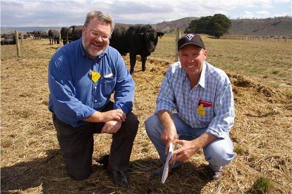 Alan Peggs, Alan Peggs Rural, Nedlands, WA, and his WA client’s operations manager Sean O’Reilly, who selected 19 bulls for its massive operation.