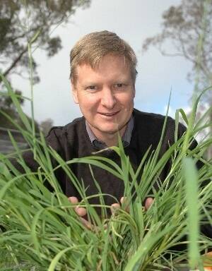 Dr Chris Preston of the University of Adelaide with a glyphosate-resistant annual ryegrass plant.