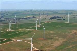 The Waubra wind farm.
