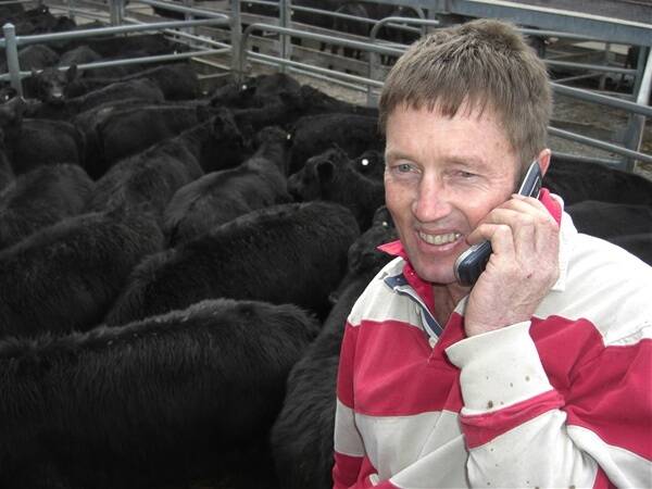 Trevor Davis, Tom Groggin Station, on the Victoria-NSW border, calls his boss to tell him the good news after their cattle sold at Wodonga last week. 