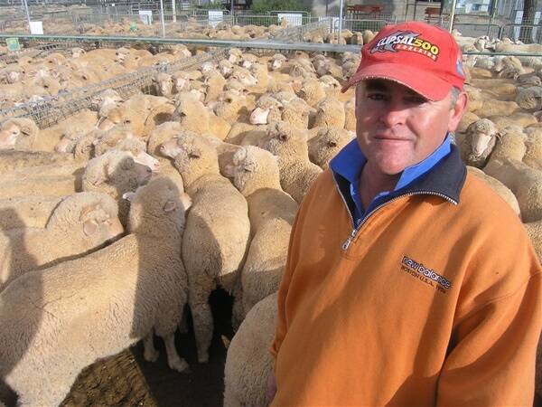 Western NSW grazier Kelly Bright, Balaclava Station, has never seen it so good in his patch, 20km south of Broken Hill. Originally a crossbred sheep farmer from Kingston SE in SA, Mr Bright made the move north 20 years ago to graze 60,000 hectares of Merino country. Mr Bright is pictured at Ouyen where he sold 600 Merino lambs, 2009-drop to a top of $133. 