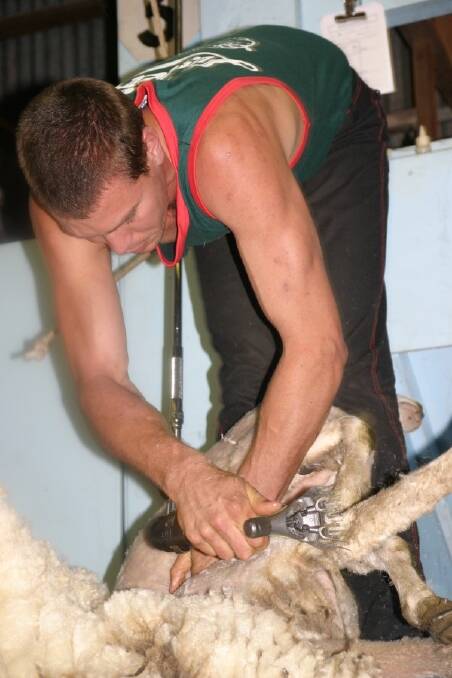 Roland Smith in action at the Warrnambool Romney Shears.