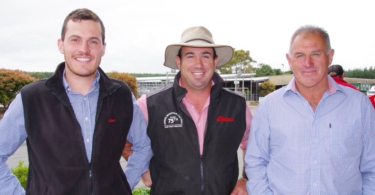Malcolm Davies (right), with son Sam Davies and nephew Morgan Davies at the Mount Gambier sale in December.