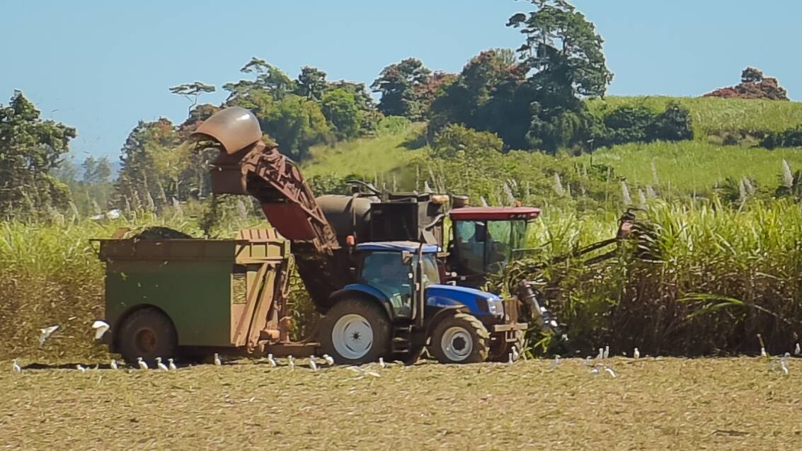 The 2017 cane harvest has begun in North Queensland, but Mackay Canegrowers CEO Kerry Latter said it's not all smooth sailing. 