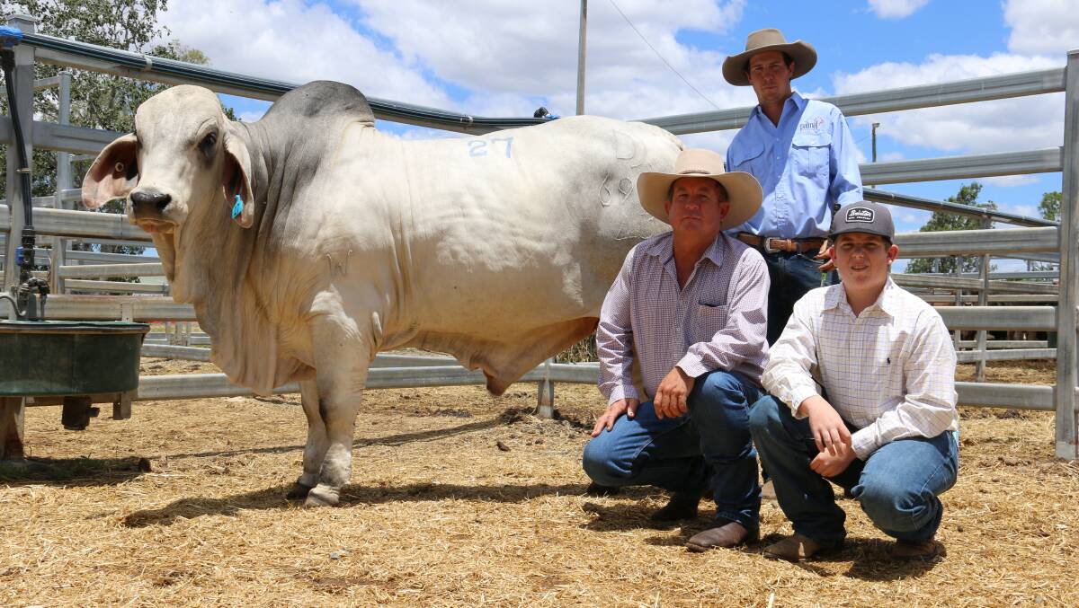 SALE TOP: $50,000 Palmal Dimension 6976 with vendor Will McCamley (standing) and purchasers Scott Angel  and Croyden Sturdy, Glengarry Brahmans. 