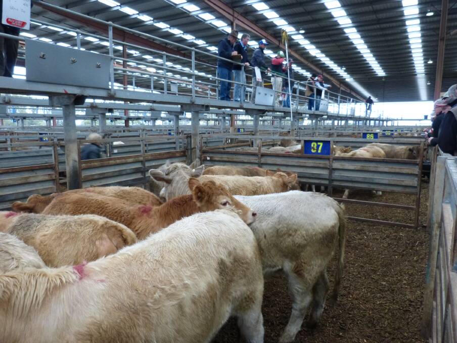 A very small yarding at Pakenham offered very good quality, but prices were up to  20 cents cheaper.