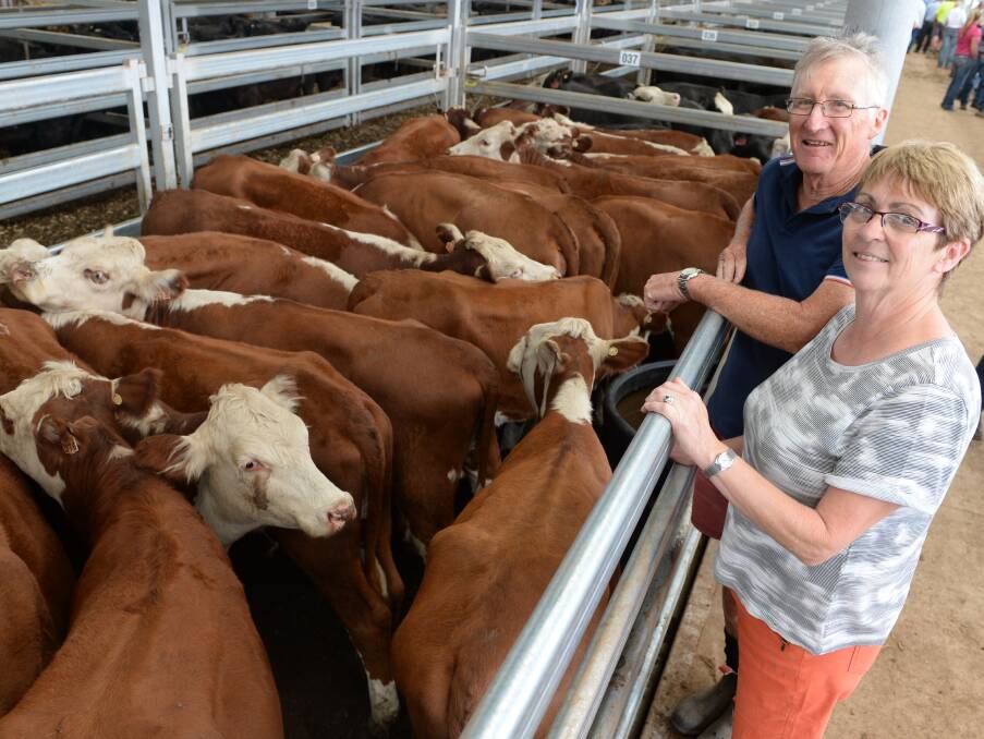 David & Pauline Ross, Tarzali, Warranbayne, with their pen of yearling heifers they sold  for $830. David had purchased these heifers in the spring for $480.