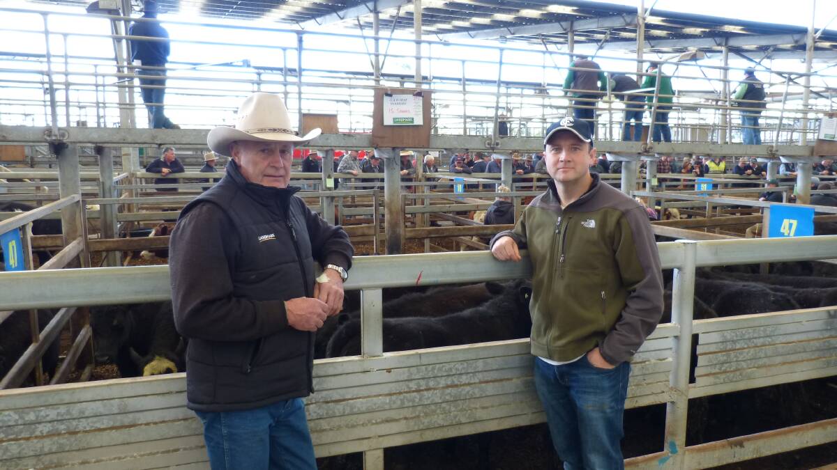 Justin Foat, Woodside, represented his folks, Graeme and Helen, at Leongtha, Thursday. Landmark agent, Graeme Davis watched as their steers sold to $1200.