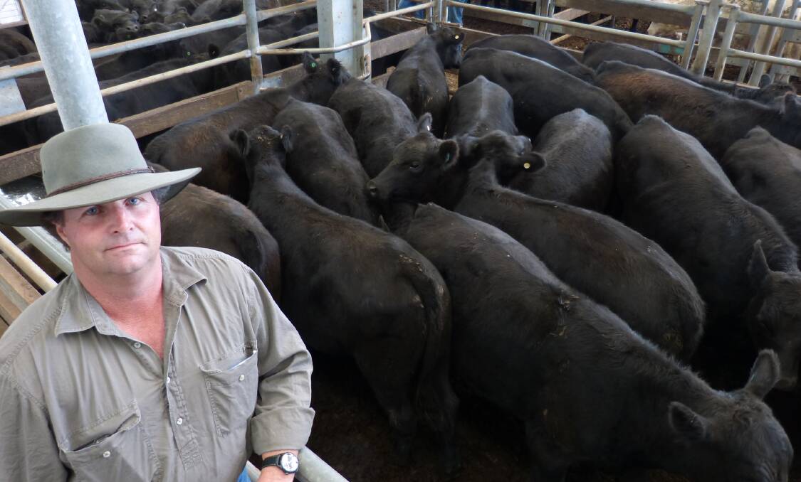 Geoff Coverdale, Purrumbete South Pastoral, sold his annual drop of Angus steer calves at Euroa, proudly Coolana blood, from $1210-$1330.