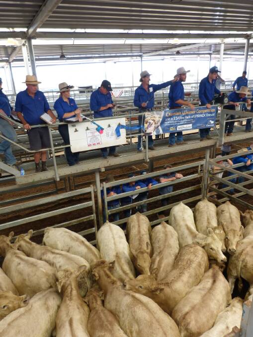 Rangan Charolais, Charleroi, was awarded the best presented pen of Charolais steers at the Corcoran Parker all breeds sale, Wednesday. These 22 high quality steers, 8-10 months, weighed 427kgs, and sold for $1310.