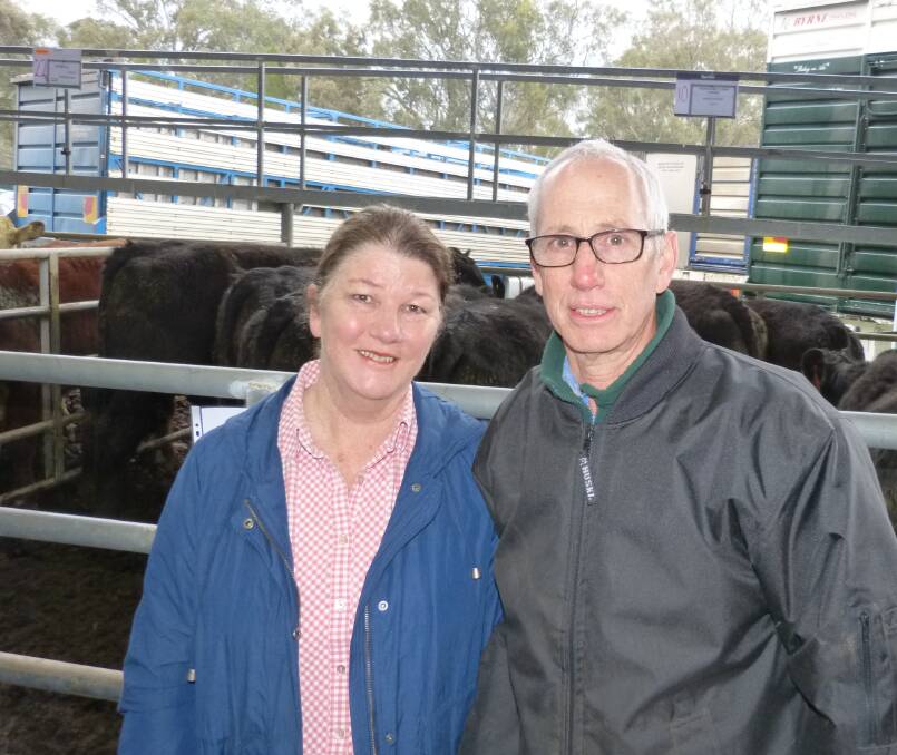 Nick and Anne Snow, Hazelglen Partnership, Doreen, sold these 10 Angus steers, 15-18 months, for $1630, to top the sale at Yea last Friday. Their steers went to Cohuna.