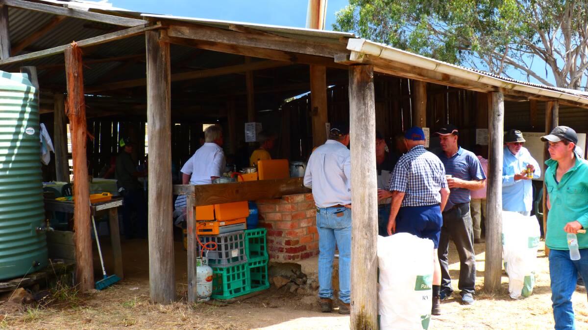 The hub of the Gelantipy mountain cattle sale is the canteen. Many of the local ladies, bake, cook and make sandwiches to feed the crowd, and discuss the sale.