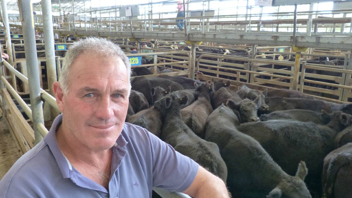 Malcolm Davies, Greenwald Pastoral co, Foster, South Gippsland, sold 429 Angus heifers to $1105, Thursday, April 28.