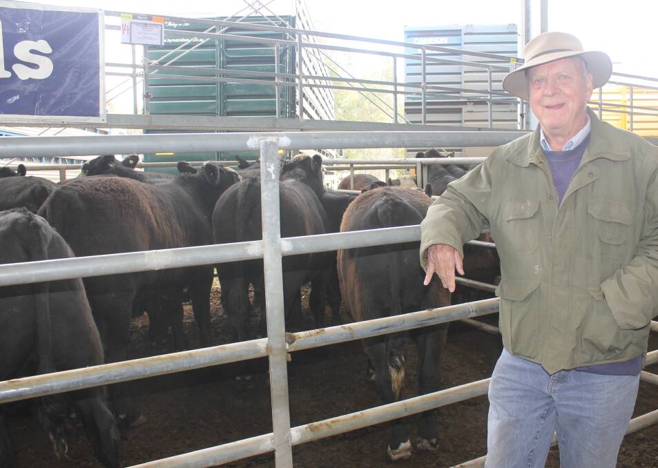 Barry Griffiths, Northwood, Seymour, sold 130 mixed sex Angus calves in the Yea annual autumn drop weaner sale. Barry shared top price of $1520 for steers and $1410 for heifers and was very happy with his sale. This was a true weaner sale with most being February-March drop calves.