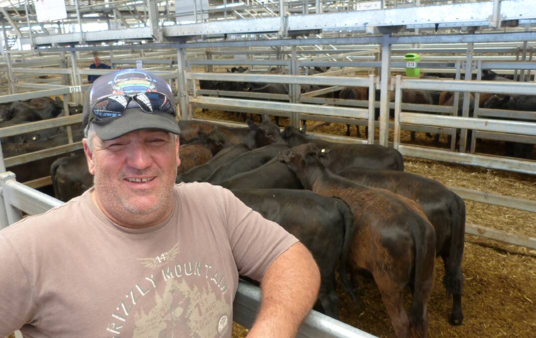 Always happy, Frank Caponecchia, Bobonawarrah, who sold steers at Wodonga, Friday, to $1190, and heifers to $1050, through Elders, in their Blue Ribbon sale.