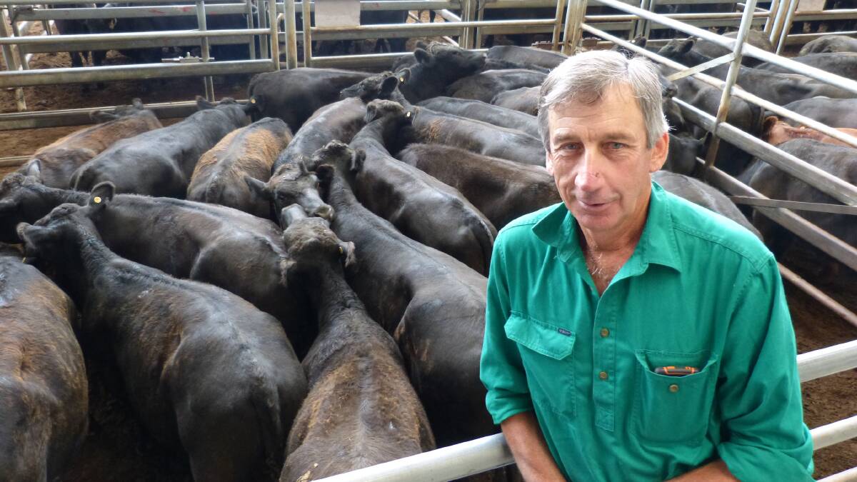 Andrew Murdoch, Bibbenluke, chose, and Sharp Fullgrabe agencies, to sell 19 Angus steers, which made $1360, and 65 heifers from $1010-$1380.