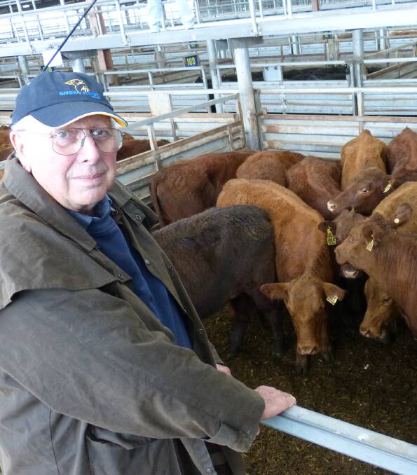 Alan Condron, Stratford, sold 40 South Devon-Red Poll heifers at Pakenham, last Thursday, that were a perfect match for feedlotting, selling to $1400.