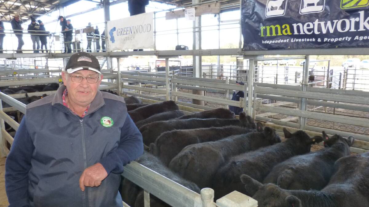 John Adams, Stradbroke, normally sells these Angus steers as fat steers, but the season has cut out. Selling from $1380-$1685 was a very good result for the 117 steers.