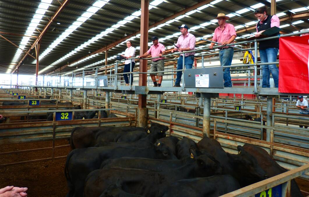 Glenburn Station, Glenburn, sold 35 Angus steers, 15-16 months, from $1030-$1210 with 26 of these selling for the top price. Liveweight price equivalents were 280-294c/kg.
