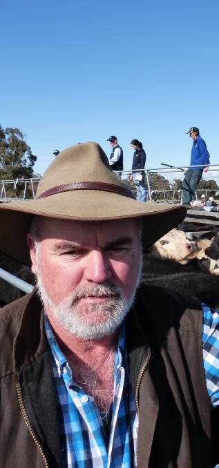 Brian Higgins takes great pride in the breeding of the family cattle, which assisted an excellent result for their Angus-Hereford cattle, sold through Rodwells Heyfield.