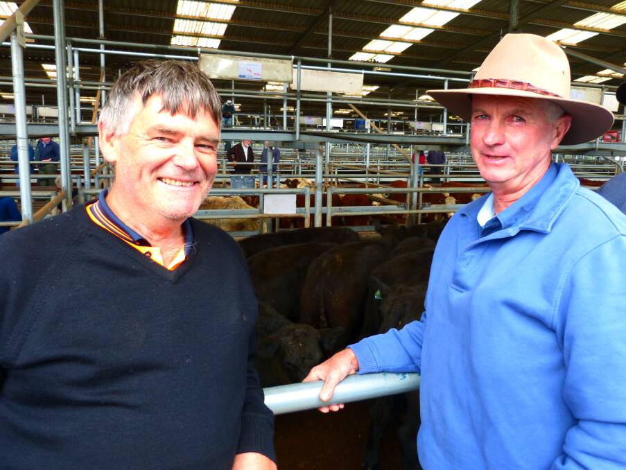 ACTIVE: Barry Hollands (left) bought two pens of yearling steers of Kelvin and Wendy Ingram at Bairnsdale last Friday. Kelvin (right) had 108 steers which sold to $1350.