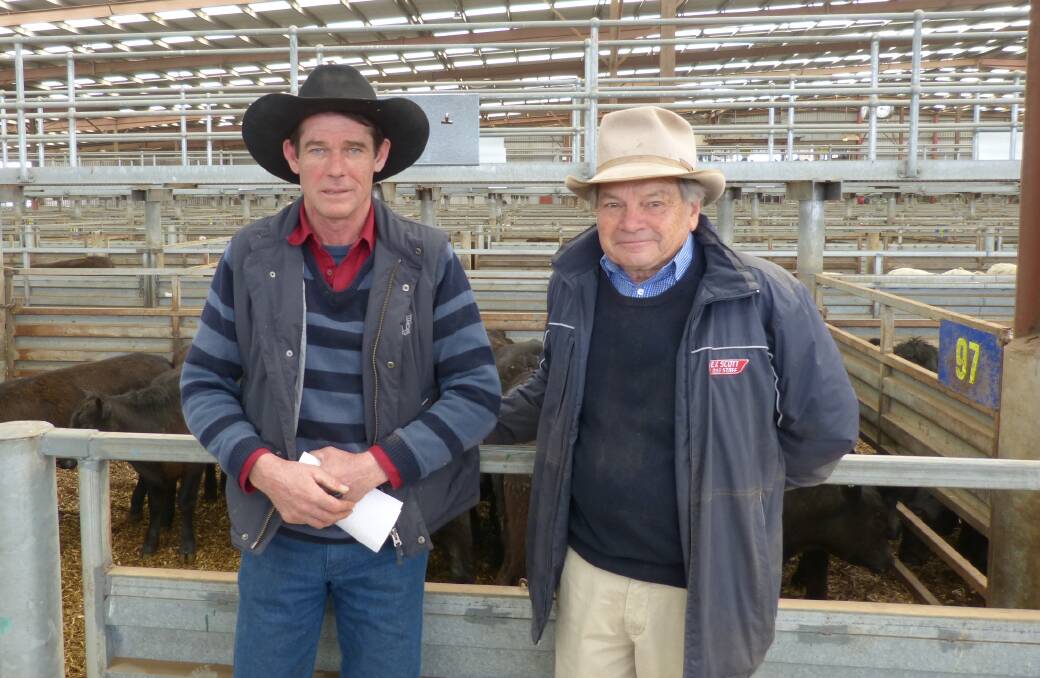 Jack Dowell, manager "Camoola", Beveridge, and Peter Brewer, Alex Scott & Staff, at Pakenham, where "Camoola" sold 47 Angus steers to $1150, and 67 heifers to $895. Highly sought after, the "Camoola" cattle sold well in a cheaper market.