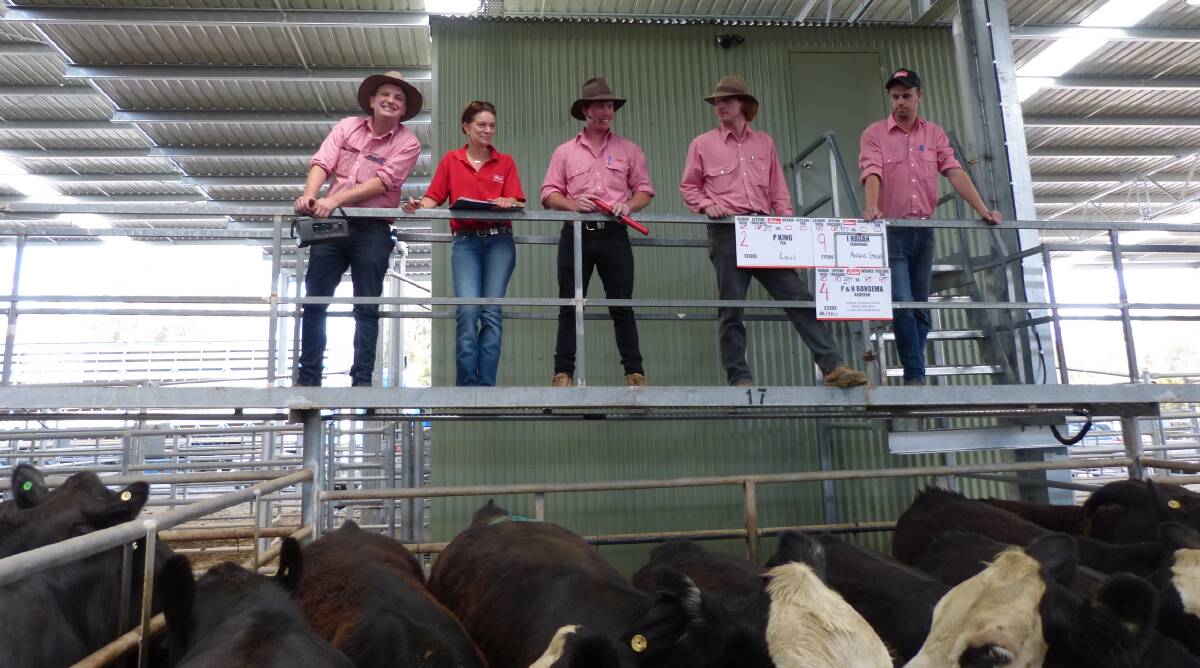 The Elders selling team at a recent Yea store cattle sale. Friday's sale saw good quality younger steers sell well. However, the balance of the yarding faltered.