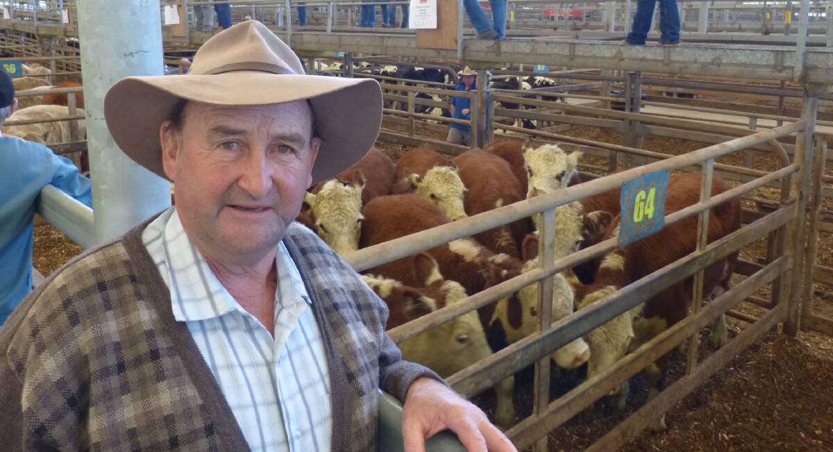 Max Fleming, Jones 7 Fleming, Rosedale, sold Hereford and Angus-Hereford steers at Leongatha. Selling for $1440 and $1480 was certainly better than fat cattle prices.