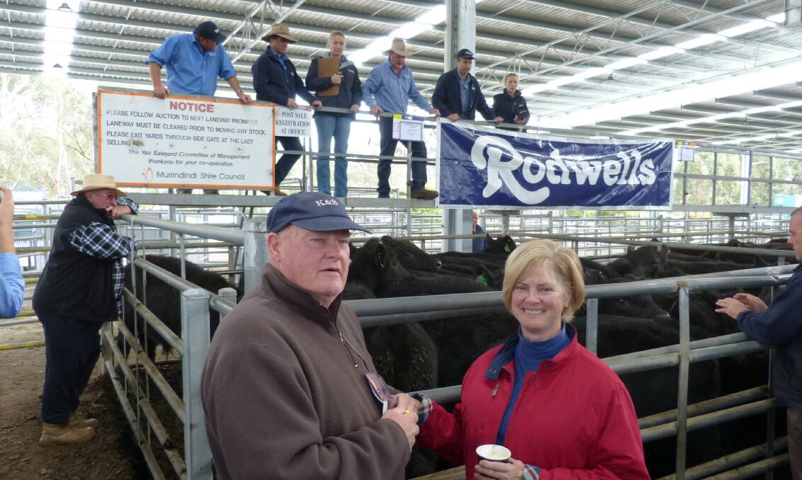 Max & Cheryl Williams, Cathkin, had first pen honours in the annual Rodwells Yea, spring 2016 drop weaner cattle sale. Their first pen of steers sold for $1300.