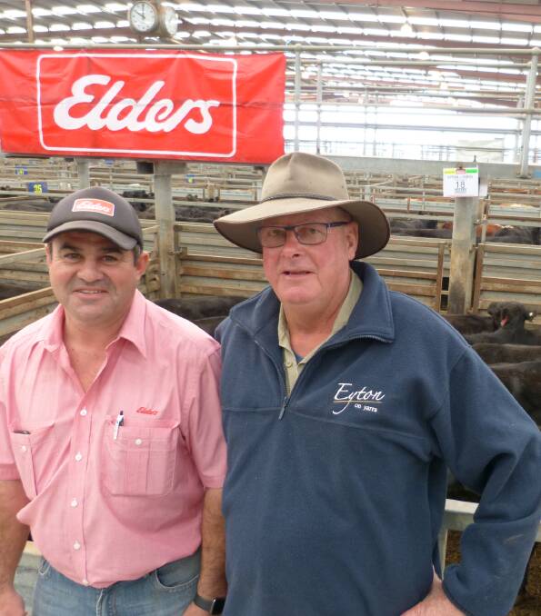 BIG DRY: Carlo Toranto, Elders, and Merv Steer, manager for Eyton on Yarra, who was glad to sell 39 Angus steers and 56 heifers, as this quality Healesville property is dry.