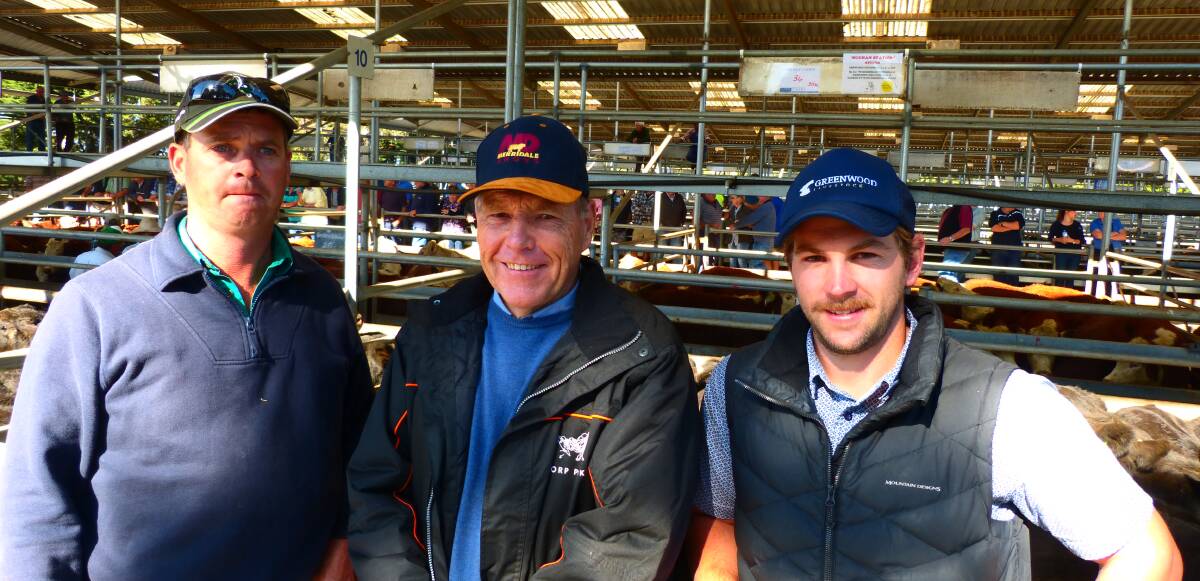 Buchan Station farm manager, Richard McAuliffe, with owner Bryan Hayden, and son Sam Hayden. Brian was very happy with their prices after buying good quality bulls.