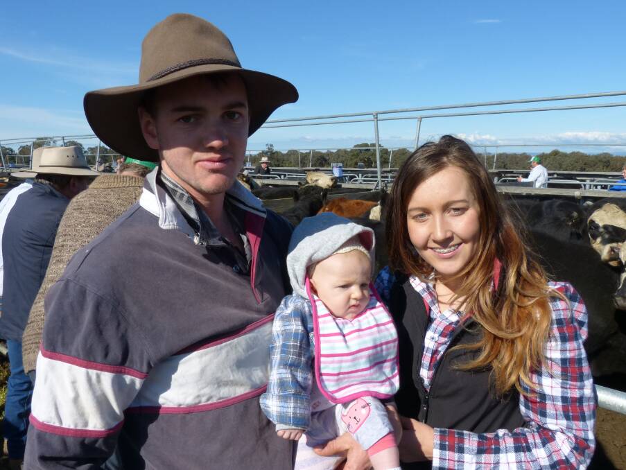BM,SM&MR Higgins sold 140 Angus-Hereford mixed sex yearlings at Rodwell's Heyfield, Friday. Michael and Jamie Higgins show off the new generation, Indiannah.