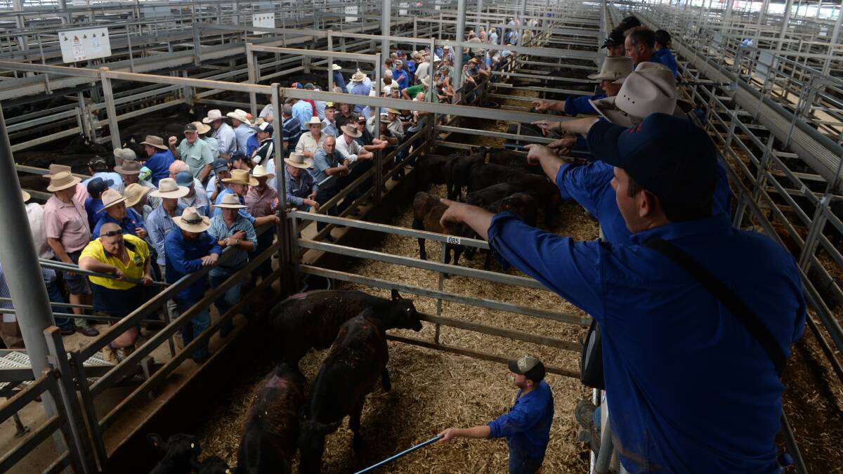 Weaner calf sales driving prices