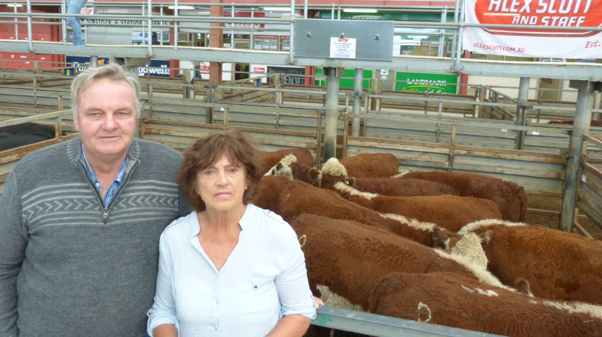 Clive and Noelene Downie, Ripplebrook, sold these Hereford steers for $1305 at Pakenham, Thursday, in a very bouyant market. Competition was strong for most the yarding.