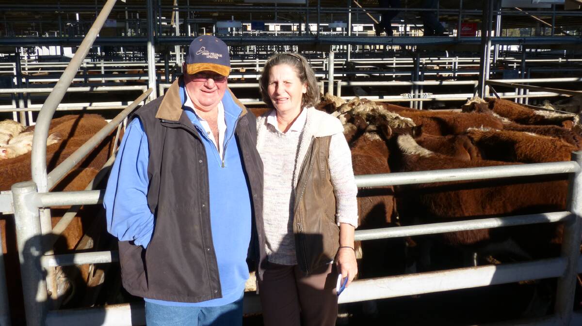 Merryl Reed, Cann River with Peter Cunningham, at Bairnsdale, Friday, where Meryl sold 49 Hereford steers from $1400-$1480.