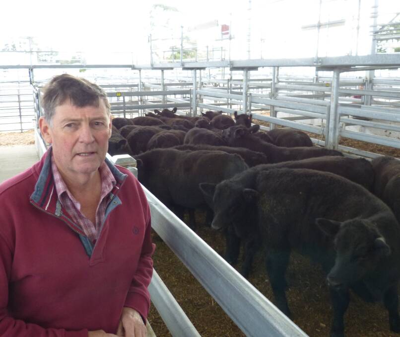 Athol Bowman, Winnindoo, sold 29 Angus steers, Pinora Blood, to $1560 with the first pen of 20 judged the best presented, for an award from the National Australia Bank.