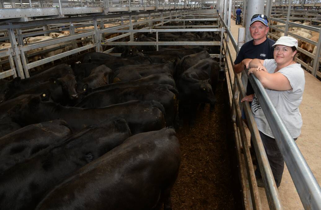 Simmental-Angus cattle are becoming popular, and Kerry and Andrew McGahy, McGahy Past CO, sold 114 head at Wodonga. Their 71 steers sold to a top of $1440.